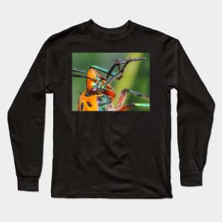 Unique and organic photo of a red shield bug playing the flute! Long Sleeve T-Shirt